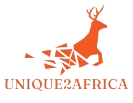 unique2africa